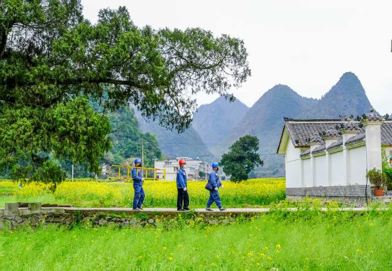 平塘供電局：“網(wǎng)格化”服務(wù)，護航“菜籃子”