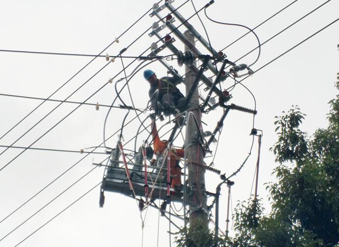 國網慈溪市供電公司開展網架優(yōu)化工程提升線路運行健康水平