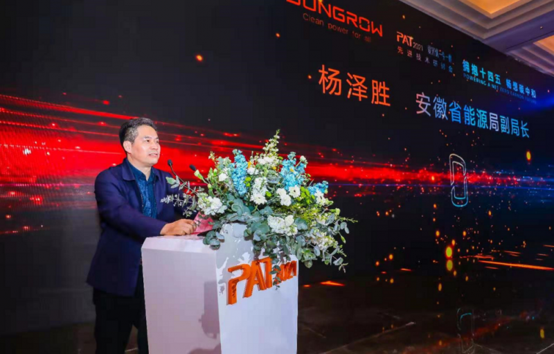 安徽能源局副局長：大力發(fā)展可再生能源，為實現(xiàn)低碳目標(biāo)貢獻(xiàn)力量