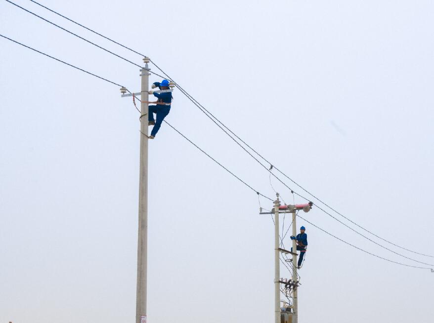 阿拉善供電公司：電網健康“體檢”，從登桿開始