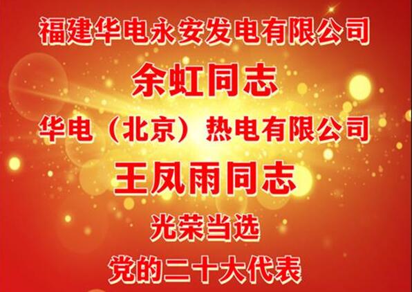 中國華電余虹、王鳳雨同志當(dāng)選黨的二十大代表