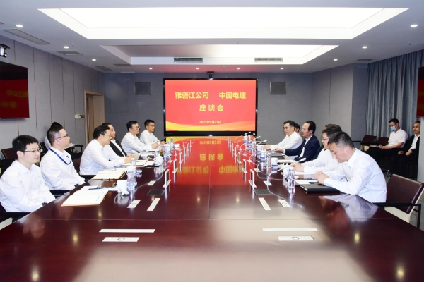 丁焰章與雅礱江公司黨委書記、董事長祁寧春座談