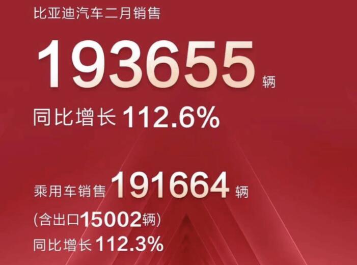 2月新能源車企成績單出爐，比亞迪一騎絕塵