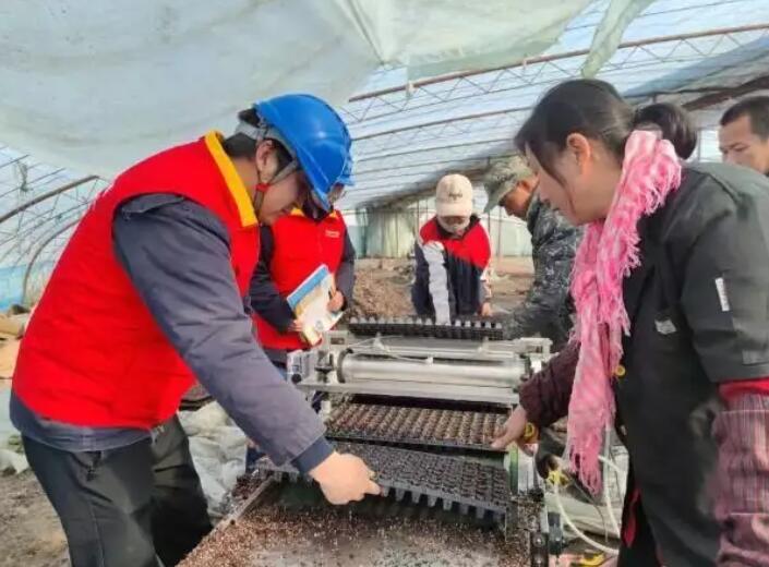 國網新疆電力公司貼心服務，為春耕春灌用電保駕護航