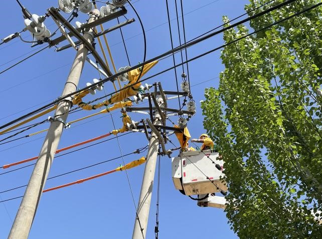 帶電作業(yè)除隱患，安全供電有保障