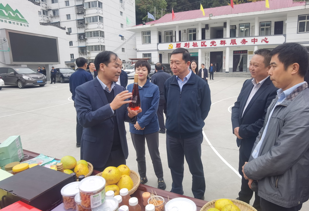中核集團總經理、黨組副書記顧軍赴陜西白河、旬陽調研鄉(xiāng)村振興工作
